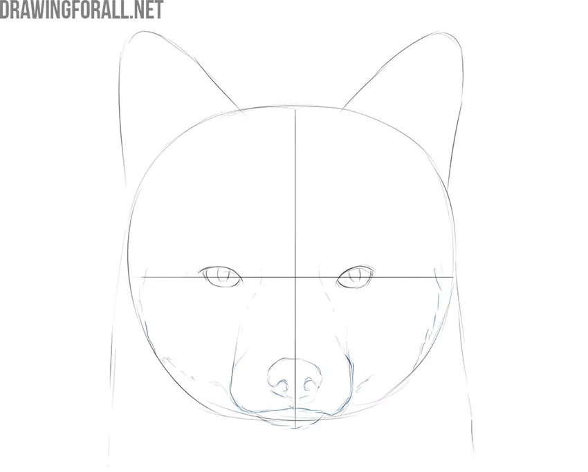 how to draw a fox face realistic