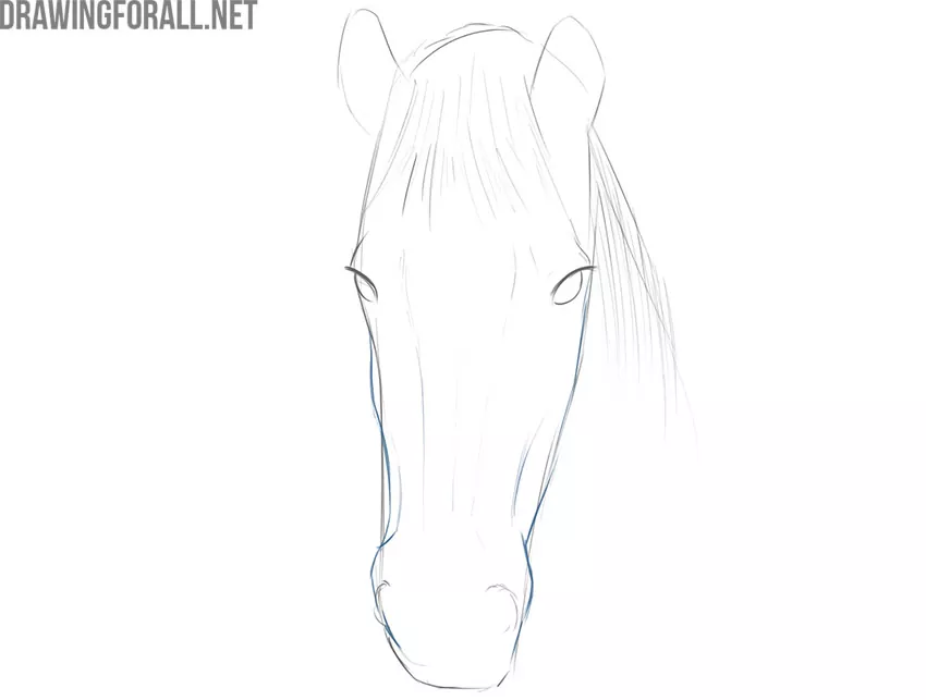how to draw a horse face step by step for beginners