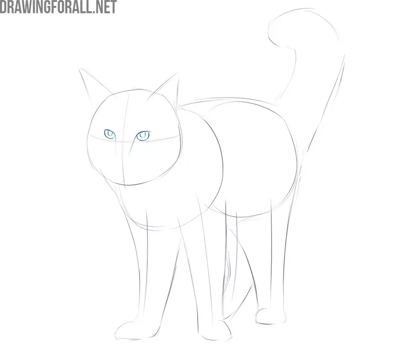 how to draw a maine coon cat easy for beginners