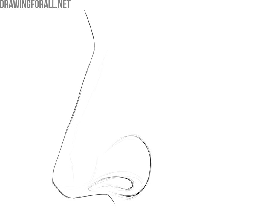 how to draw a nose