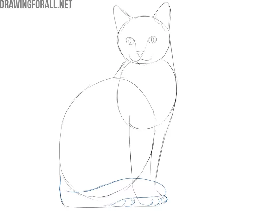 how to draw a simple cat head