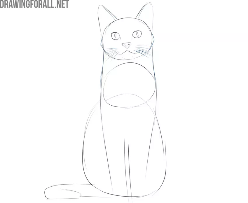 how to draw a sitting cat easy