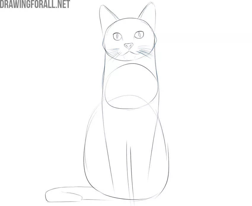 How to draw a cat with butterfly - pencil sketch for beginners step by step  drawingHow to draw a cat with butterfly - pencil sketch for beginners step  by step drawing |