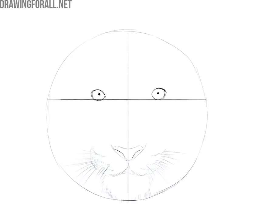 how to draw an easy tiger face