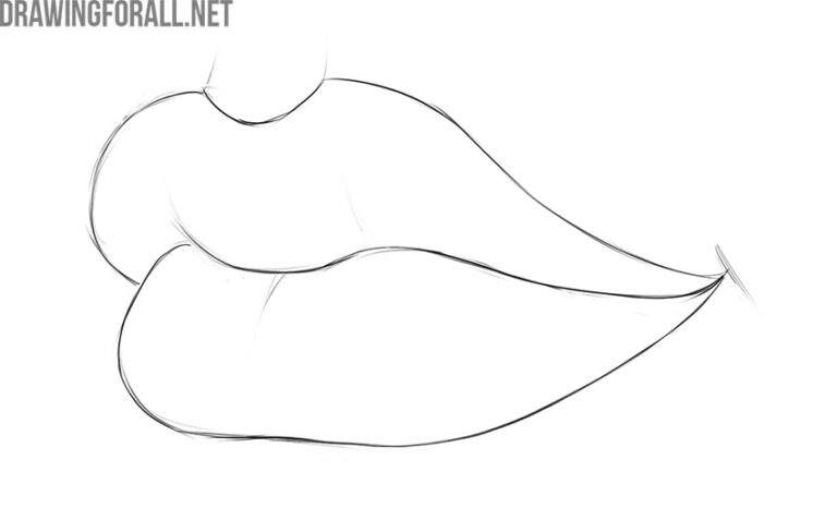 How To Draw Lips 3 4 View