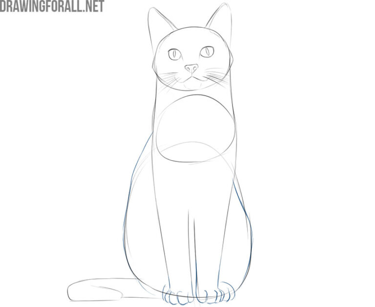 how to draw a cat sitting down easy