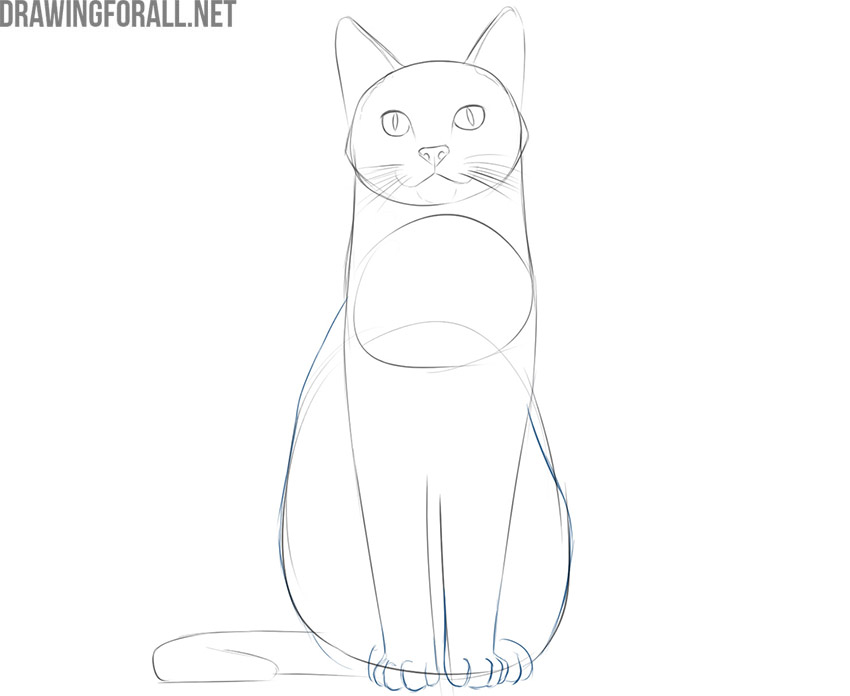 How to Draw a Sitting Cat