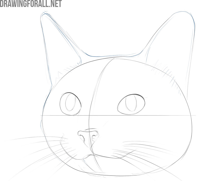 how to draw a cute cat face