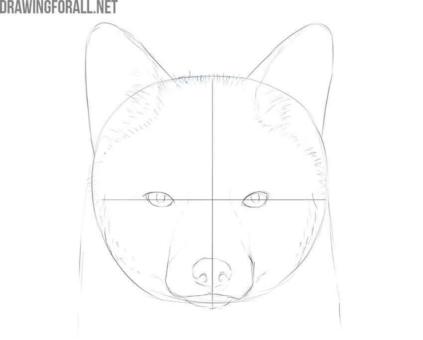 how to draw a fox face step by step for beginners