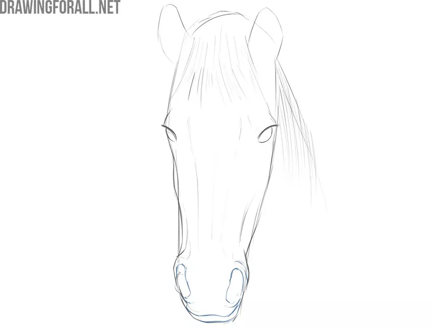 how to draw a horse face realistic