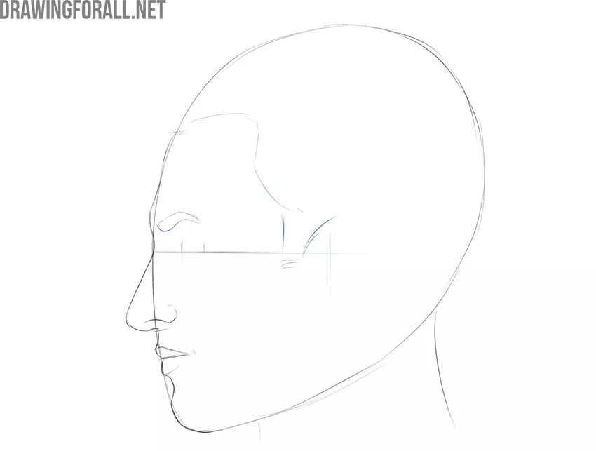 how to draw a human face from the side