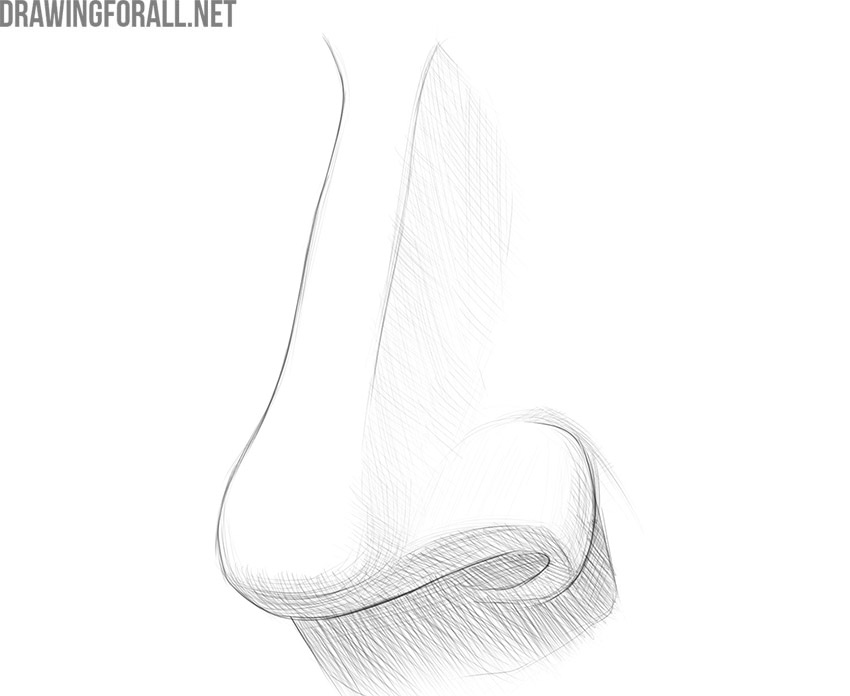 how to draw a nose from the 3 4 view