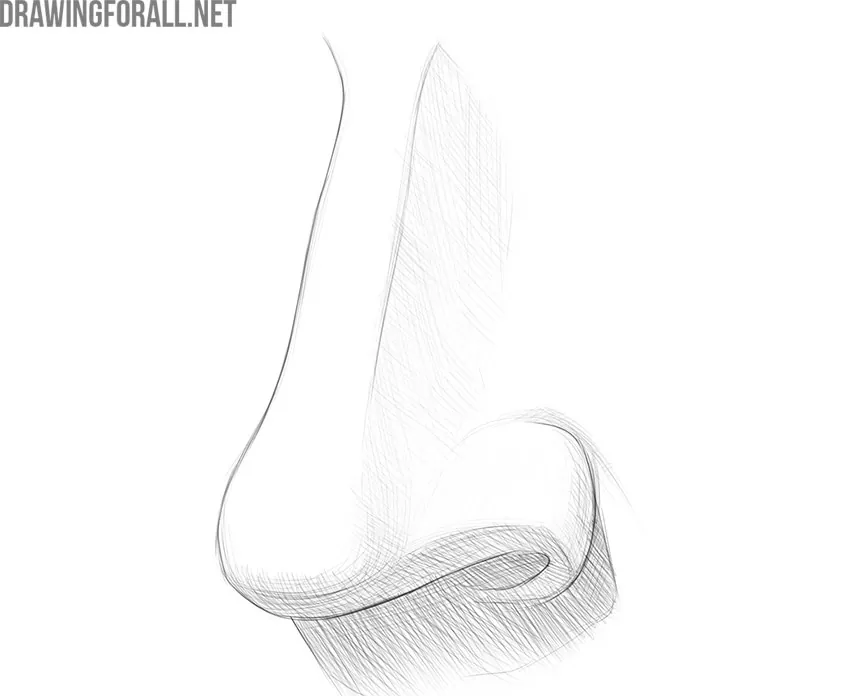 how to draw a nose from the 3 4 view
