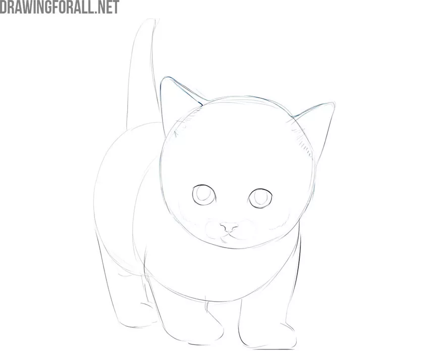how to draw a simple kitty cat
