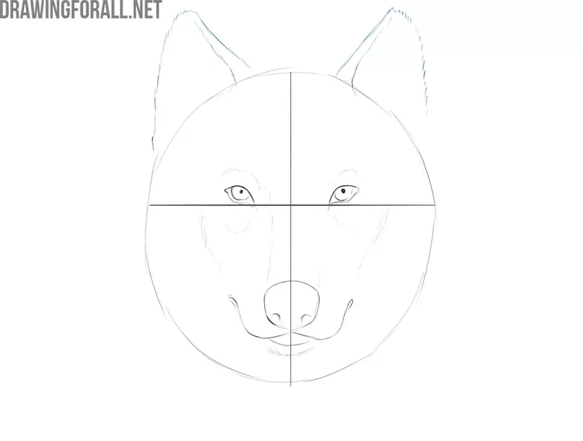 how to draw a wolf face easy step by step