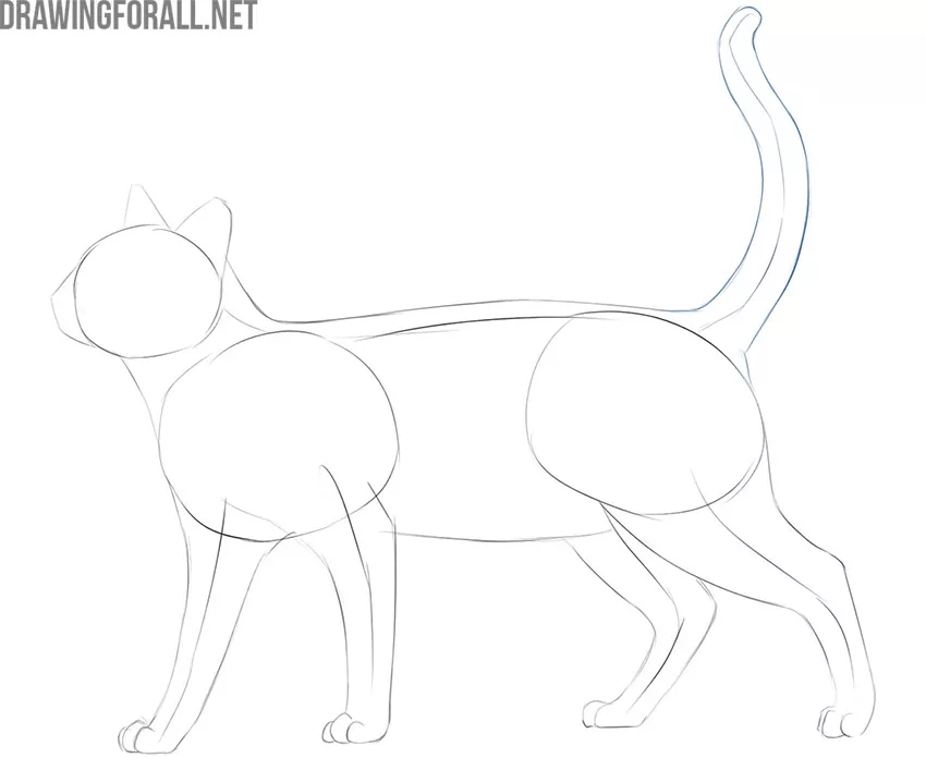 how to draw a cat easy and cute