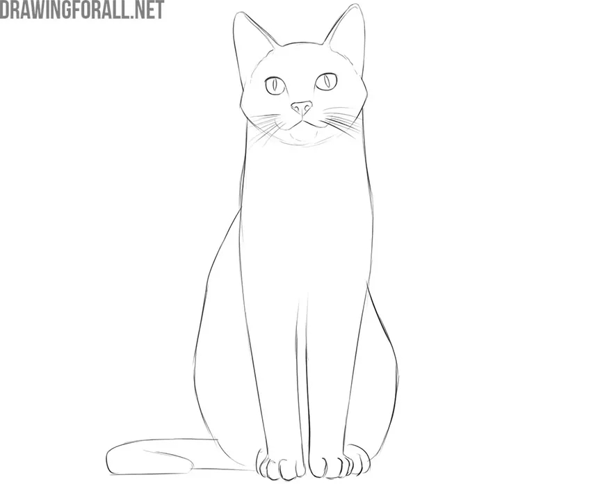 how to draw a cat sitting down