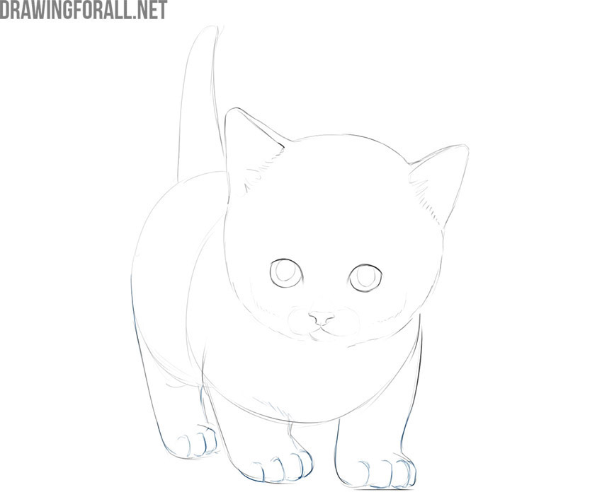 how to draw a cute kitty cat