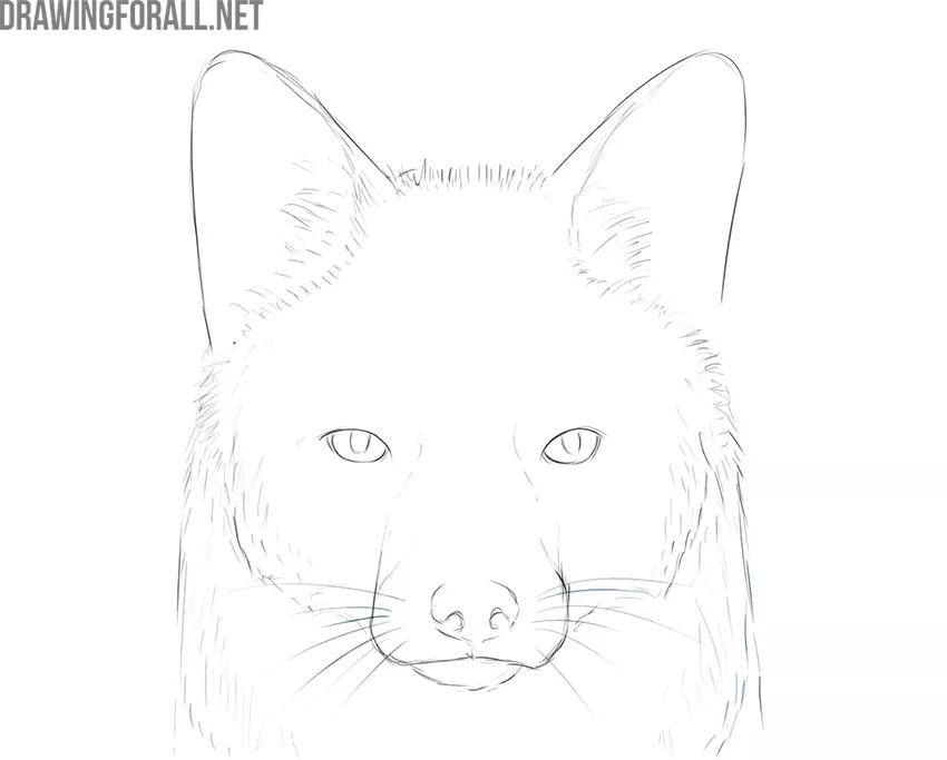how to draw a fox face easy