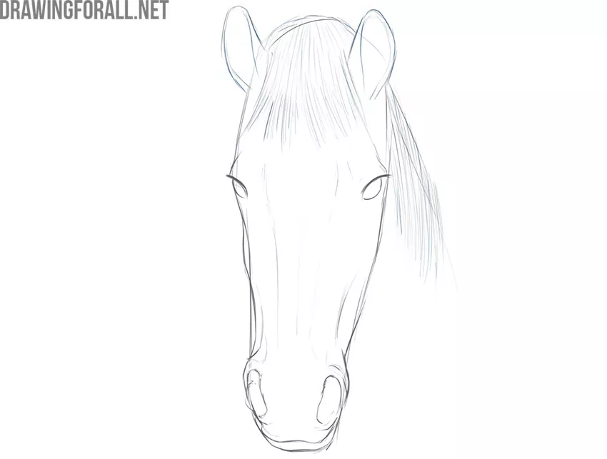 how to draw a horse face for beginners
