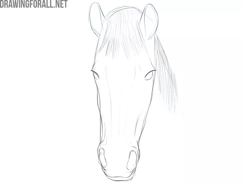 Easy Horse Head Drawing Tutorial - PRB ARTS