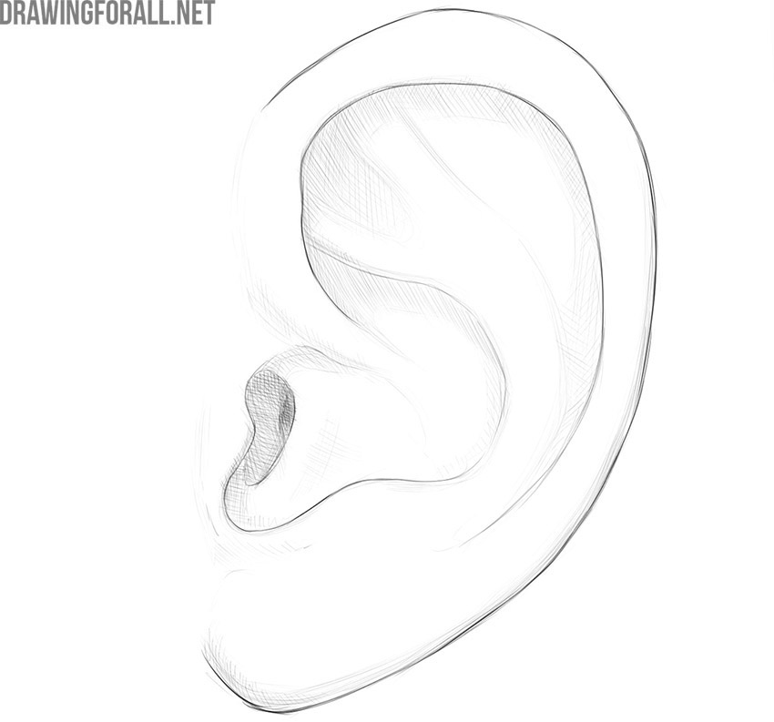 How To Draw An Ear