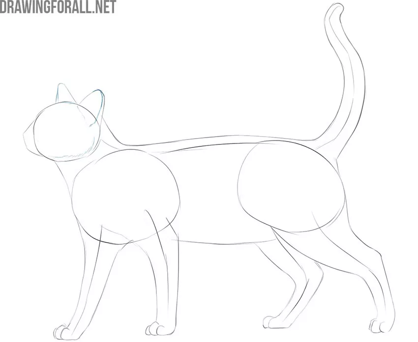 how to draw a cat easy step by step for beginners