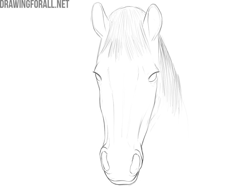 how to draw a horse face step by step easy | Drawingforall.net