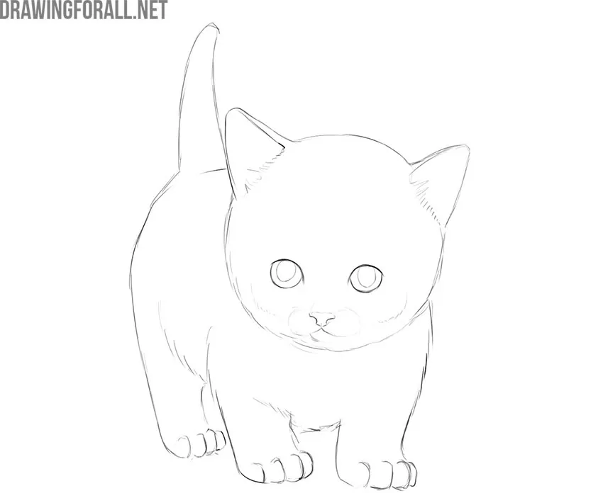 how to draw a kitty cat step by step