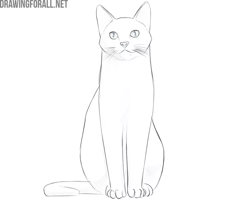 how to draw a sitting cat step by step