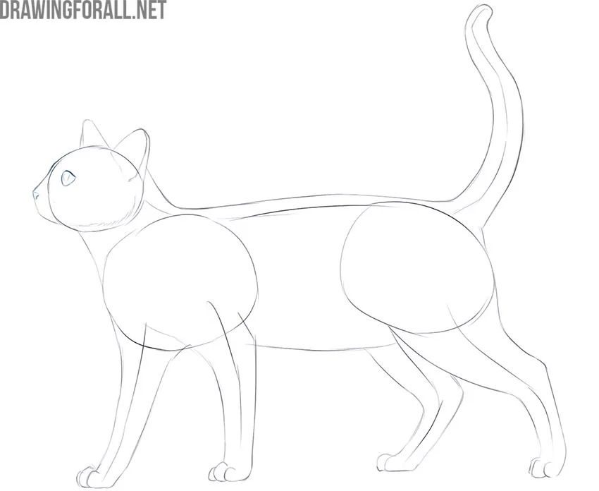 how to draw a cat easy for kids