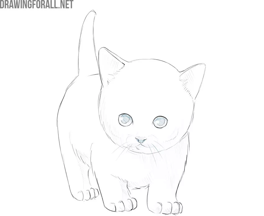 how to draw a kitty cat easy