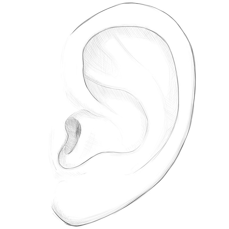 How to Draw an Ear | Drawingforall.net
