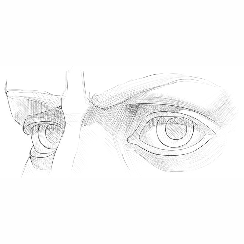 How To Draw Eyes From 3 4 View