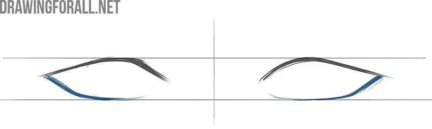 Sketch the lower eyelid shapes