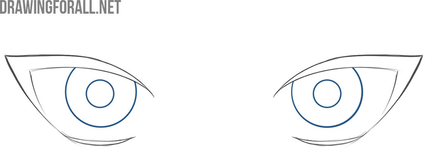 Draw the anime pupils and irises