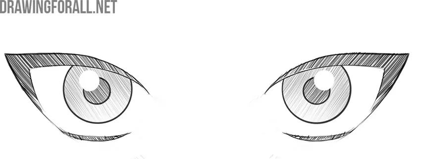 Finalize the drawing of anime female eyes