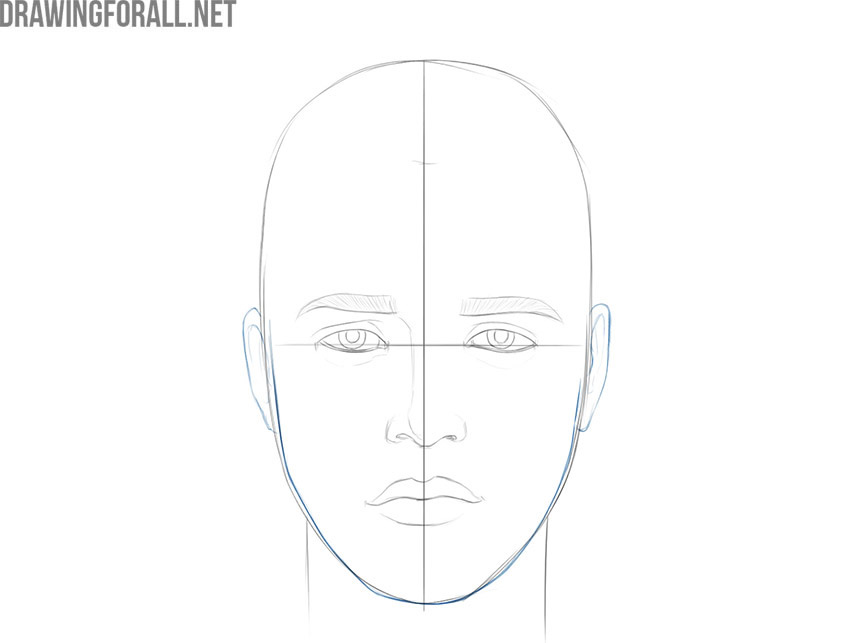Adding the boy’s ears beside the head outline