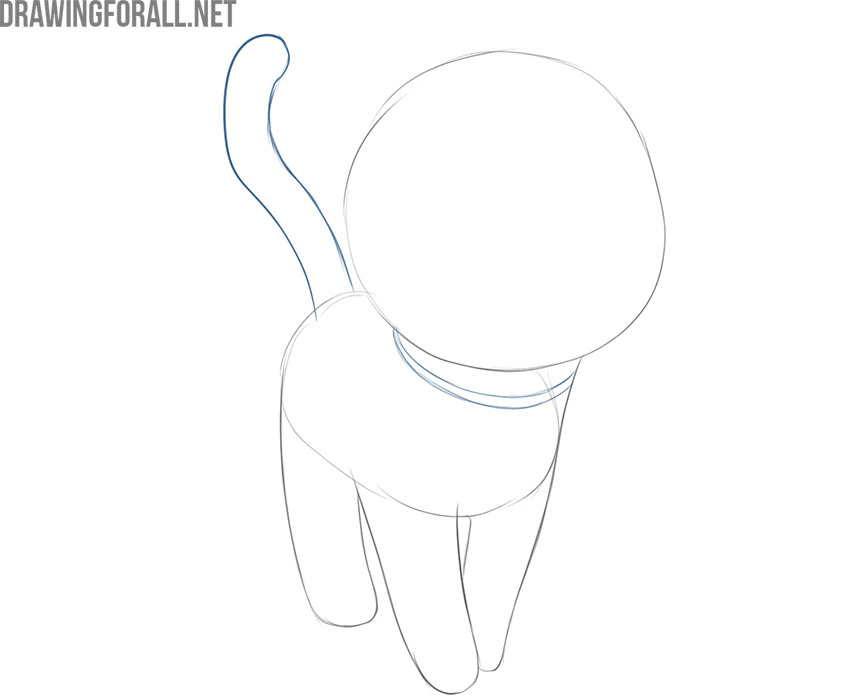 Sketch the tail and collar