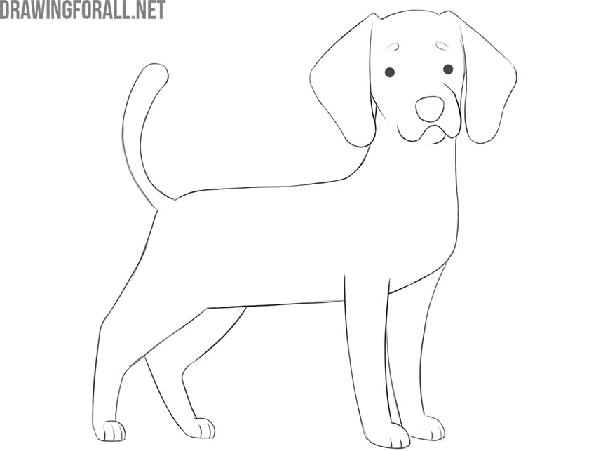 Trace and complete the cartoon dog