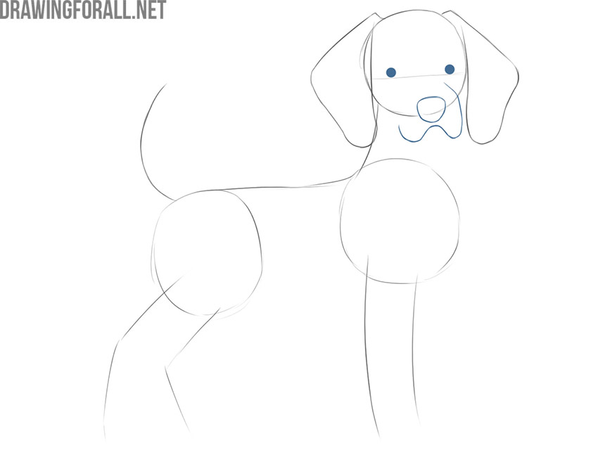 Sketch the dog’s eyes and muzzle