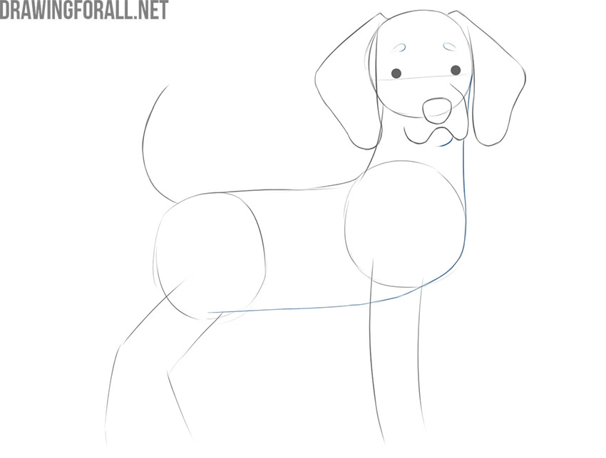 Draw the torso of the cartoon dog