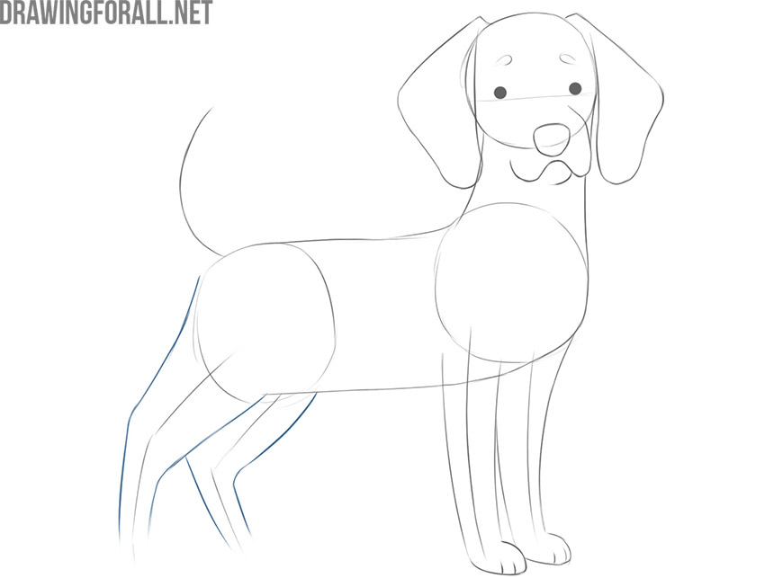 Sketch the dog’s hind legs