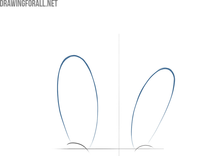 Draw the elongated oval eye shapes