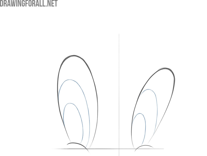 Sketch the oval irises and pupils