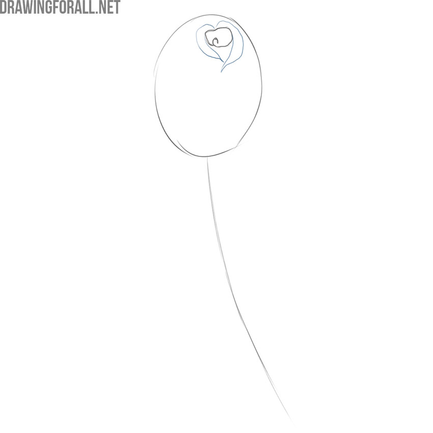 Draw the surrounding rose petals
