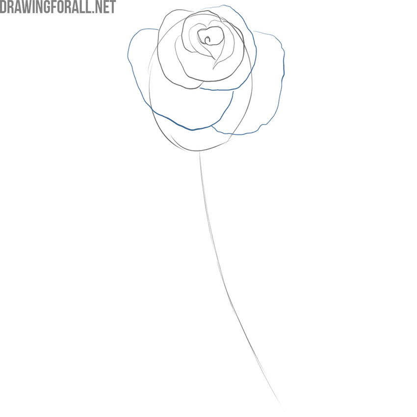 Draw the outer petals of the cartoon rose