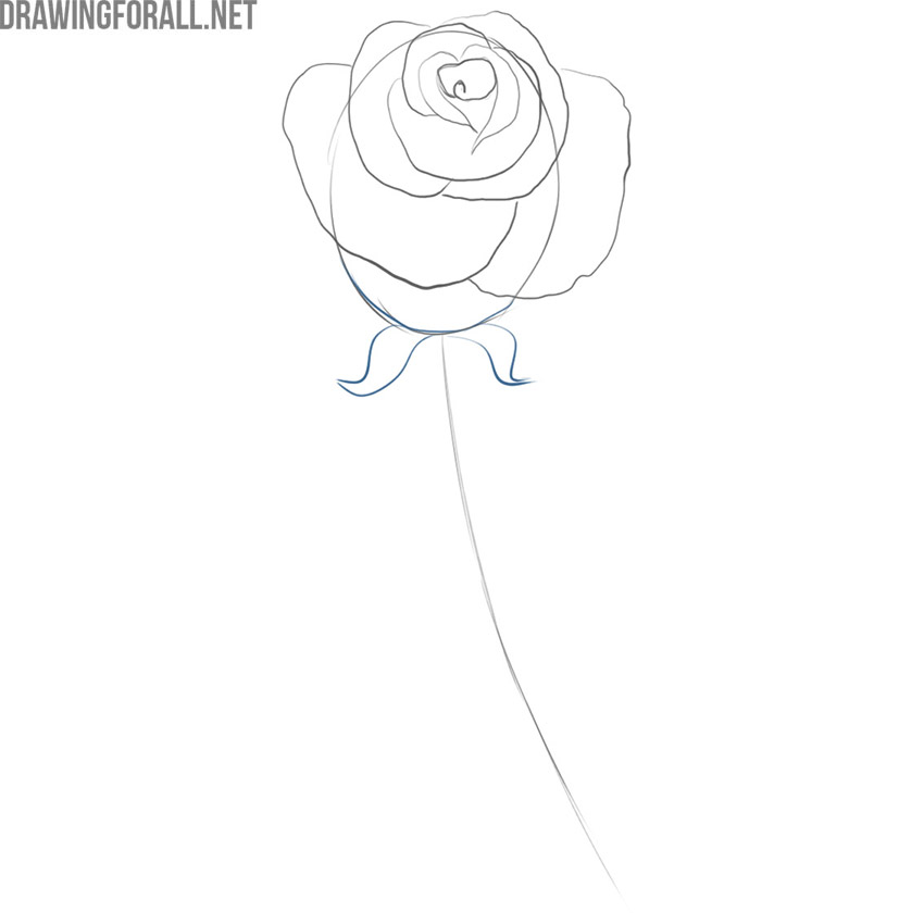 Draw the lower bud edge and sepals