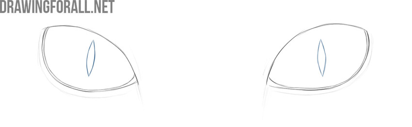 Draw the cat pupils inside the eyes