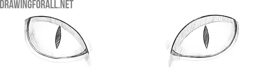 Increase contrast and finalize the eyes